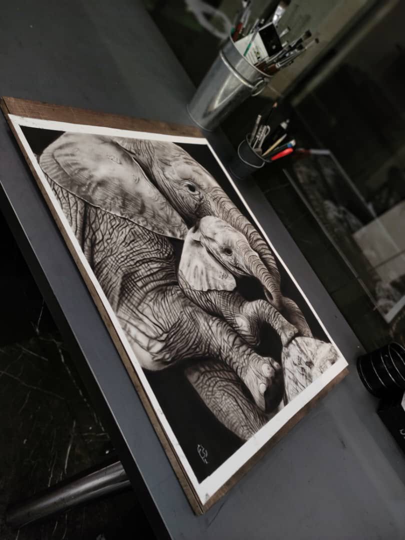 تابلو Elephant, ما گالری تابلو Elephant - Image 3