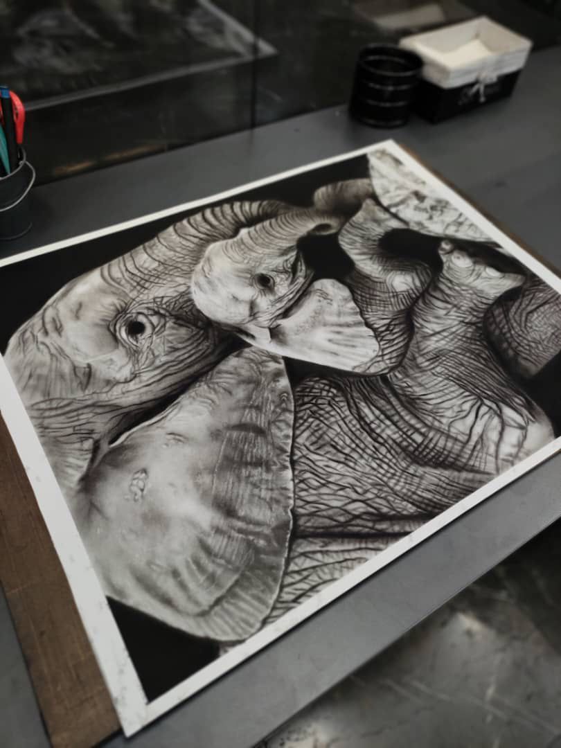 تابلو Elephant, ما گالری تابلو Elephant - Image 4