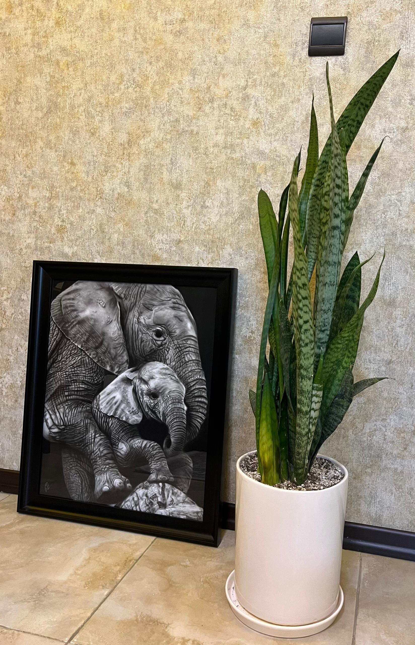 تابلو Elephant, ما گالری تابلو Elephant - Image 5