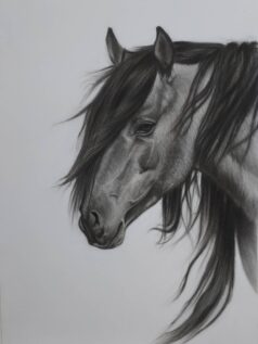 تابلو HORSE