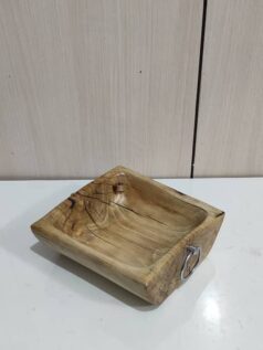 ظرف پذیرایی صدفی