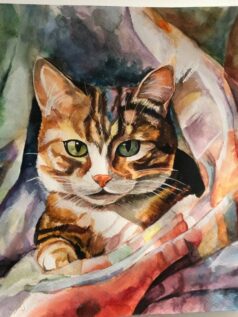 تابلوی آبرنگ گربه