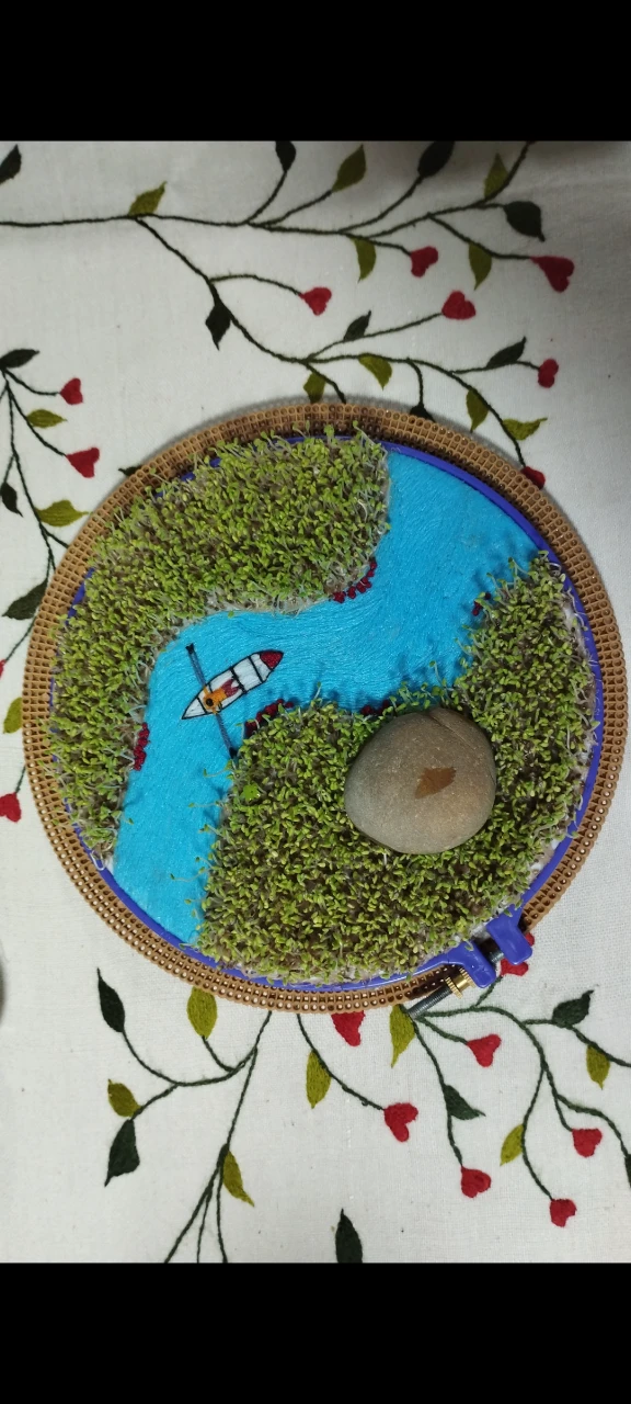 سبزه عید نوروز, ما گالری سبزه عید نوروز - Image 4