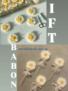 گیفت بابونه