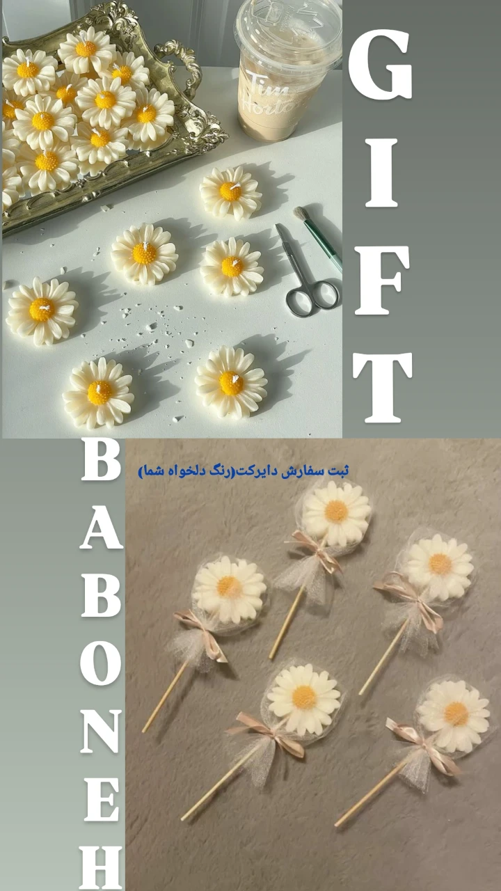 گیفت بابونه, ما گالری گیفت بابونه