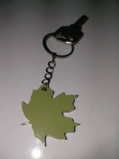 جاکلیدی برگ