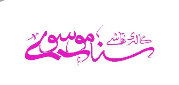 گالری نقاشی سنا موسوی