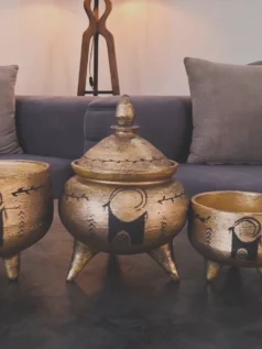 ظروف پذیرایی طرح پتینه
