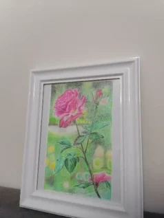 تابلو نقاشی مدادرنگی رز تنها