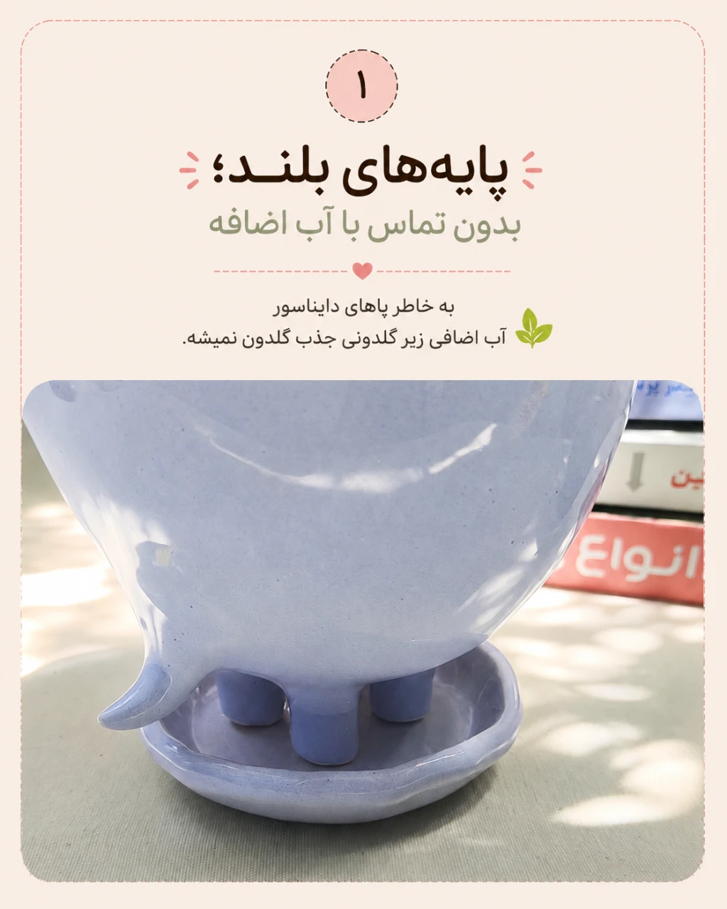 گلدان دایناسوری, ما گالری گلدان دایناسوری - تصویر 4