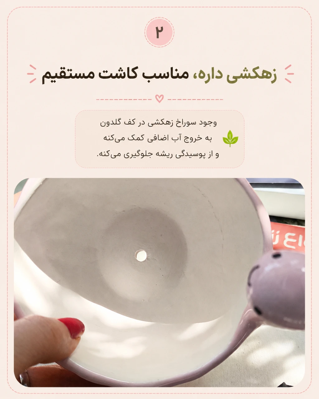 گلدان دایناسوری, ما گالری گلدان دایناسوری - تصویر 3