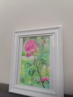 تابلو نقاشی مدادرنگی رز تنها