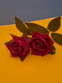 Magallery_dorsa04 (9)