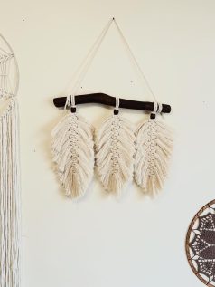 Magallery_rouya042 (2)