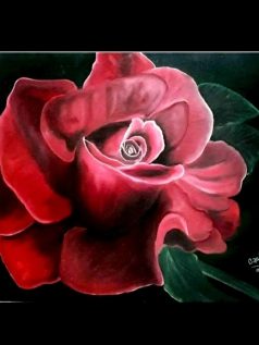 تابلوی نقاشی رز قرمز