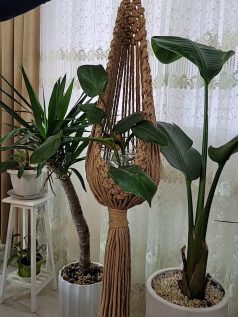 آویز گلدان لونه ای مکرومه