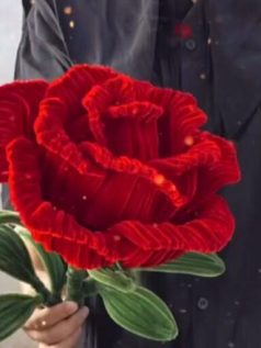 cropped-1000023617.jpg