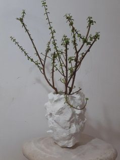 گلدون پاپیه ماشه